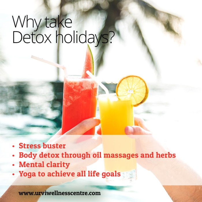 Detox holidays ways after