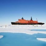 Arctic cruise spitsbergen explorer cruises svalbard polar natgeo bear geographic national ralph kittiwakes hopkins glacier monaco walruses lee ship expedition